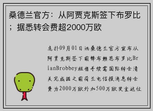 桑德兰官方：从阿贾克斯签下布罗比；据悉转会费超2000万欧
